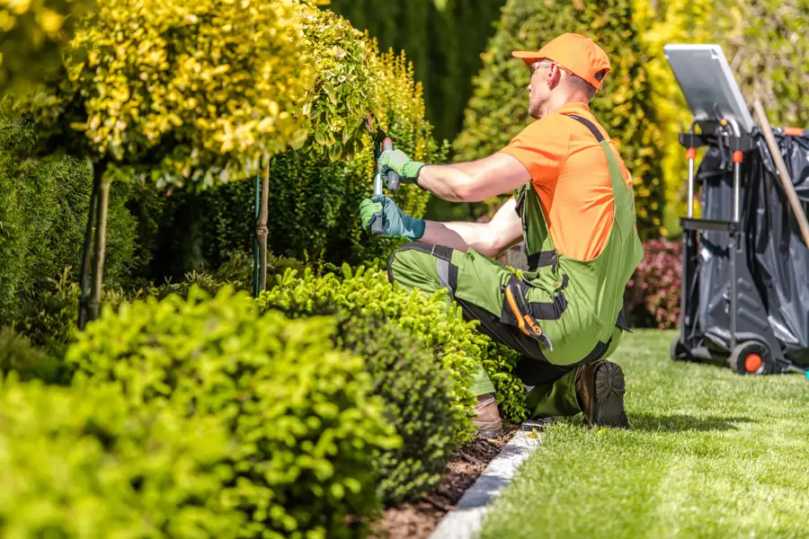 Quality Landscaping Services