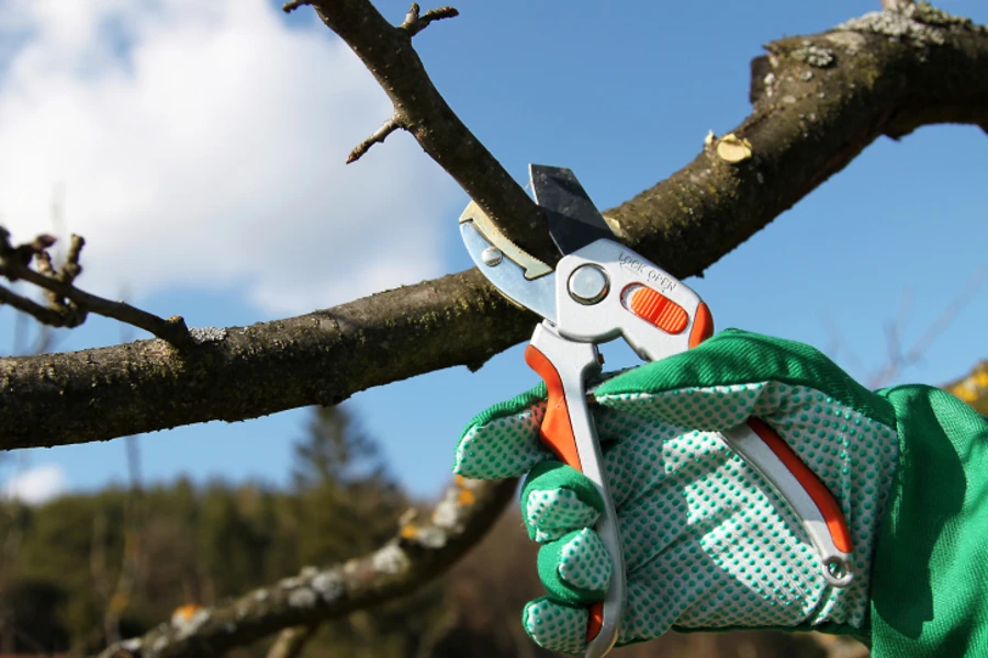 Trusted Tree Pruning